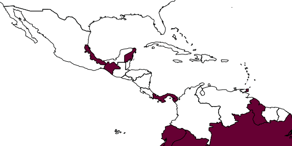 map of Anisepyris bakeri     Evans, 1966